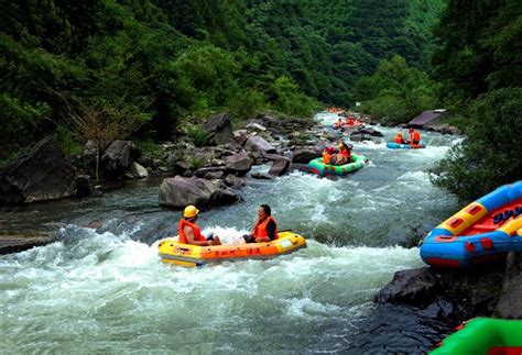  Cà Ri Thịt Lợn Huaihua: Hương Vị Cay Nồng Mê Hớp Kết Hợp Hoàn Hảo Cùng Mùi thơm đặc biệt của Lá Quế và Đại hồi?