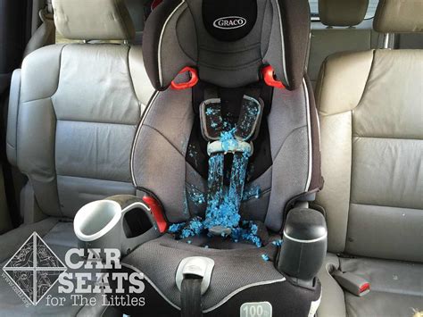 How to Clean Pee Out of Car Seat: And Why Your Dog Might Be a Better Driver Than You