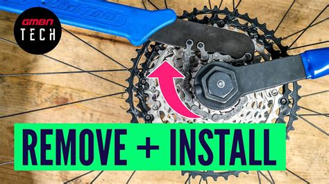 How to Remove a Cassette from a Bike: And Why It Might Make You Question the Meaning of Gears